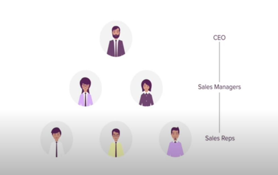 Roles in Zoho CRM