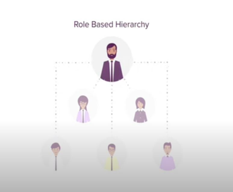 Role-base hierarchy in Zoho CRM