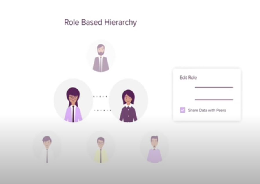 Roles in Zoho CRM